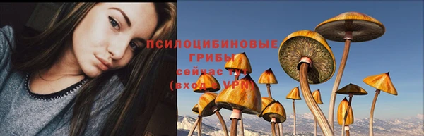 стафф Абинск