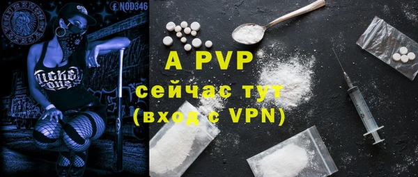 стафф Абинск