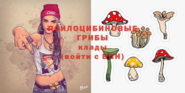 спайс Абаза