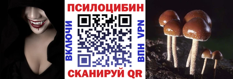 Галлюциногенные грибы GOLDEN TEACHER Белоозёрский