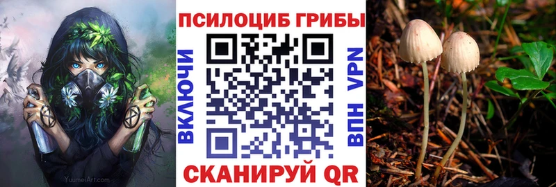где продают   MEGA как зайти  Галлюциногенные грибы Psilocybine cubensis  Белоозёрский 